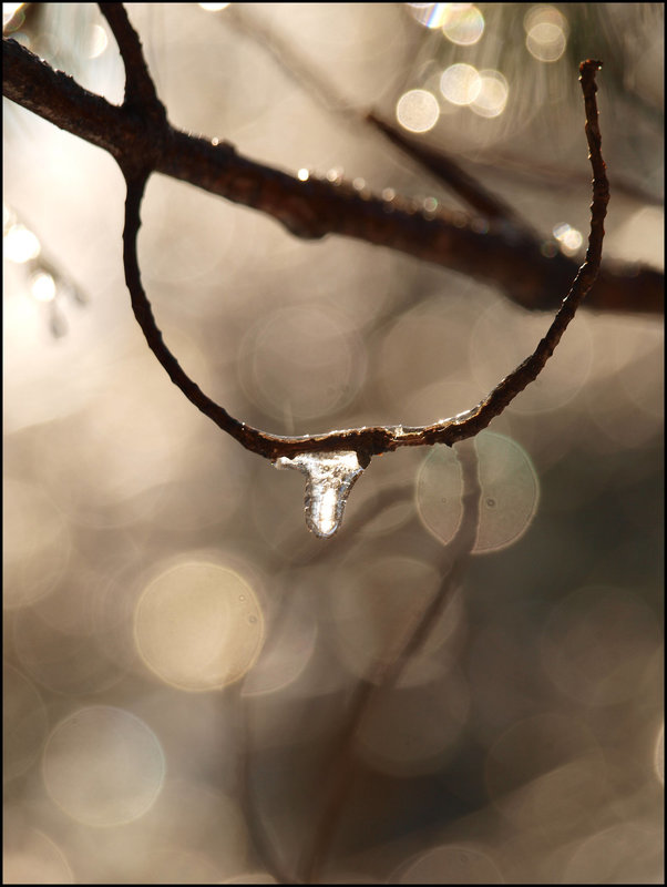 drip & bokeh