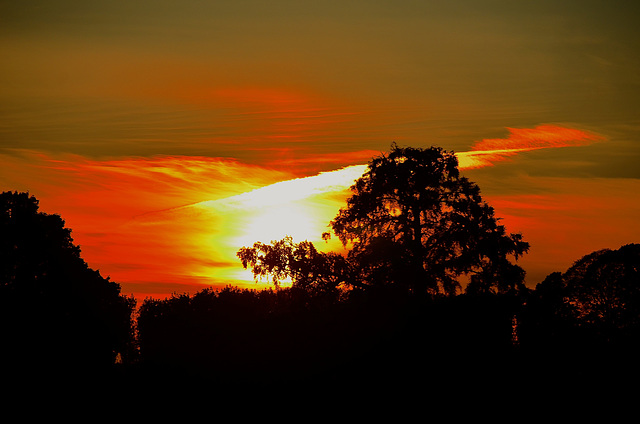 Shugborough Estate sunset