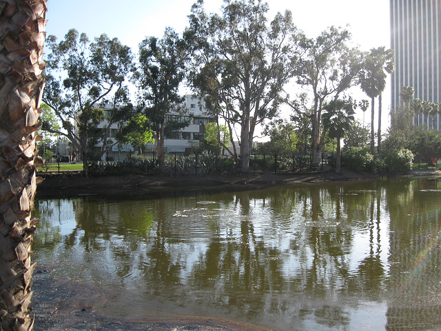 La Brea Tar Pits