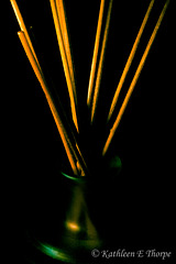 Scent Diffuser - Macro