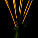 Scent Diffuser - Macro