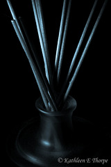 Scent Diffuser - Macro