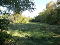 the pasture