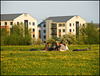 picnic at Roger Dudman Meadow