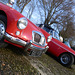 bgnydjan12013 (1225)