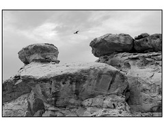 Casa Chiquita, Chaco Canyon with raven in black and white