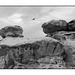 Casa Chiquita, Chaco Canyon with raven in black and white