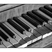 Trading Post Piano Keys in black and white