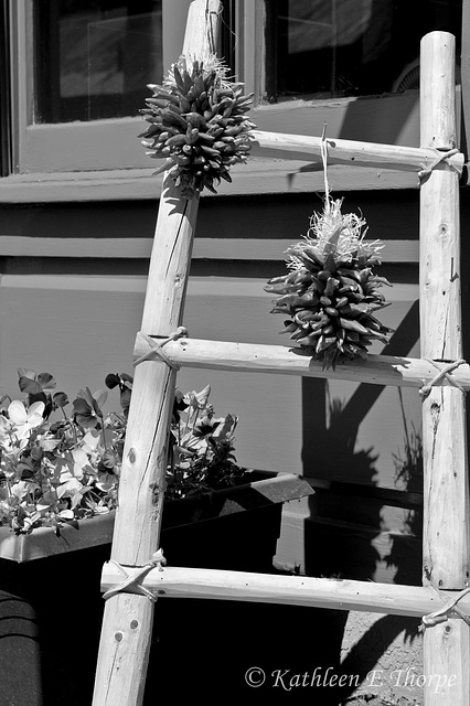 Pueblo Ladder and Chili Ristras