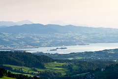 Zürichsee und Albiskette -_DSC0823.jpg