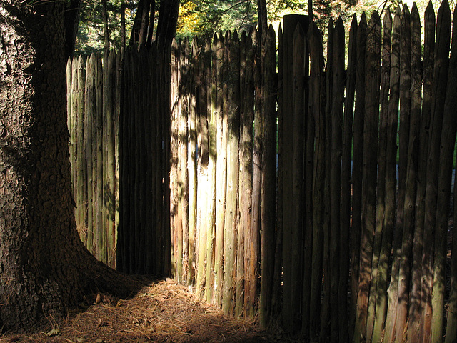 Cedar PIckets