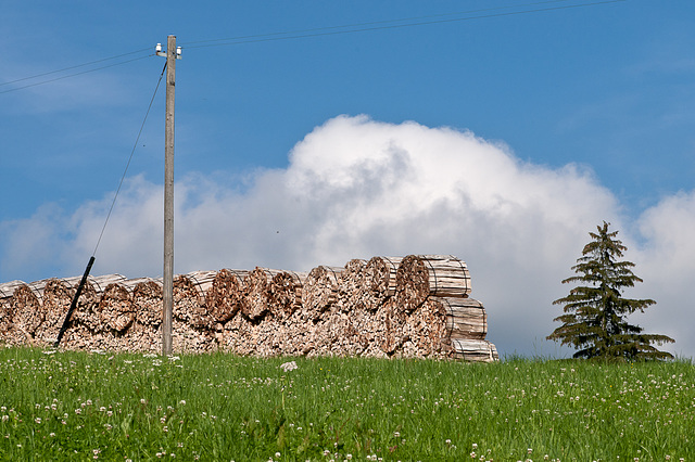 Holz, Holz, Holz - 2011-07-11-_DSC0767