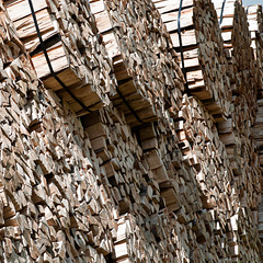 Holz, Holz, Holz - 2011-07-11-_DSC0699