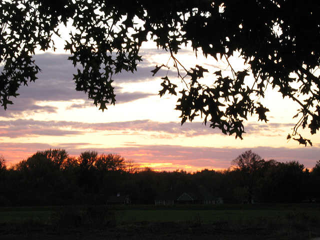 Harvest Sunset