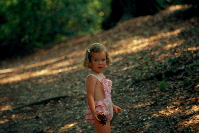 A Week In Nags Head, 1977