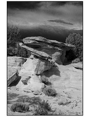 Ojito Wilderness in black and white