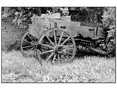 Taos wagon in black and white