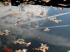 Contrails Reflected