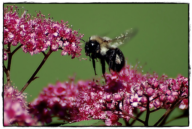 Landing