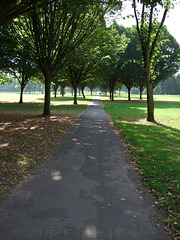 A  tree lined walk