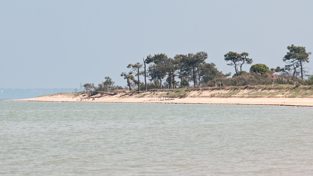 Bucht auf NE-Seite der Île d'Oléron - 2011-04-30-_DSC7014