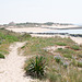 Düne mit Fussweg am Rande des Atlantiks bei La Cotinière - 2011-04-30-_DSC6946