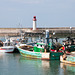 Fischerei-Hafen von La Cotinière - 2011-04-30-_DSC6941