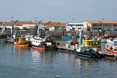 Fischerei-Hafen von La Cotinière - 2011-04-30-_DSC6939