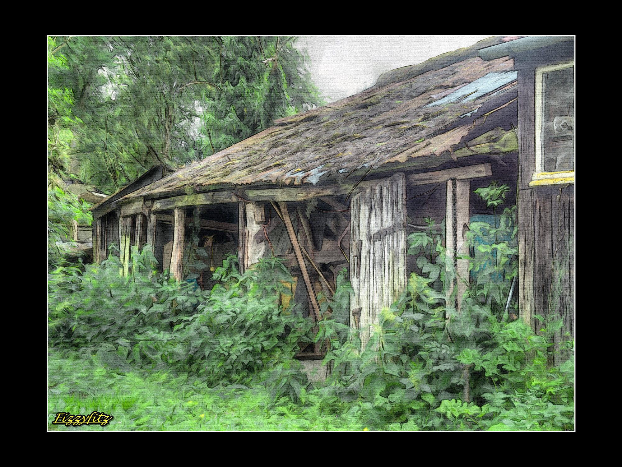 The Old Shed