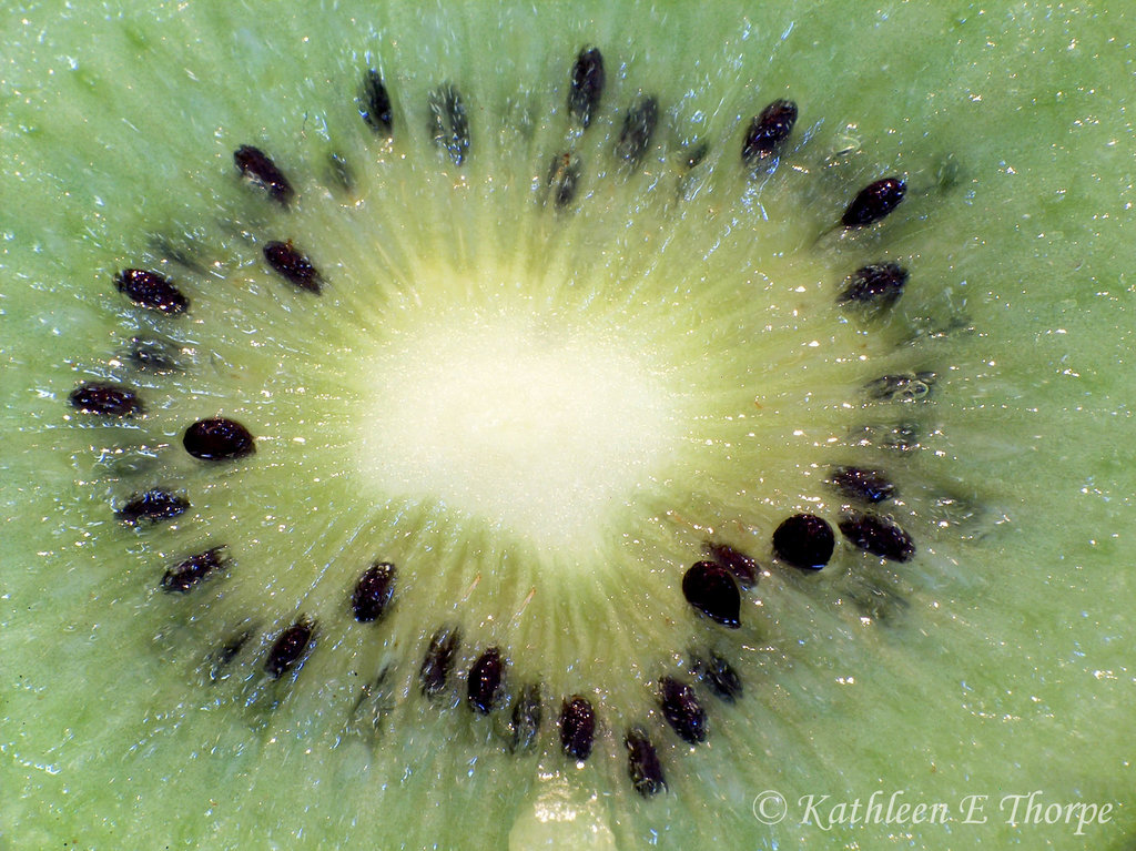 Kiwi Macro