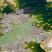 Felstümpel am Rande des Atlantiks bei Ebbe - 2011-04-30-_DSC6932