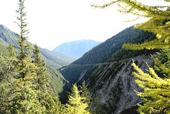 Noch im Bergwaldbereich. © by UdoSm