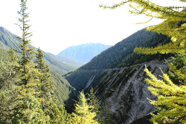 Noch im Bergwaldbereich. © by UdoSm