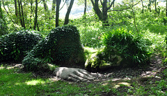 Lady Greensleeves-Heligan-Cornwall