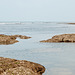 Am Rande des Atlantiks bei Ebbe - 2011-04-29-_DSC6763