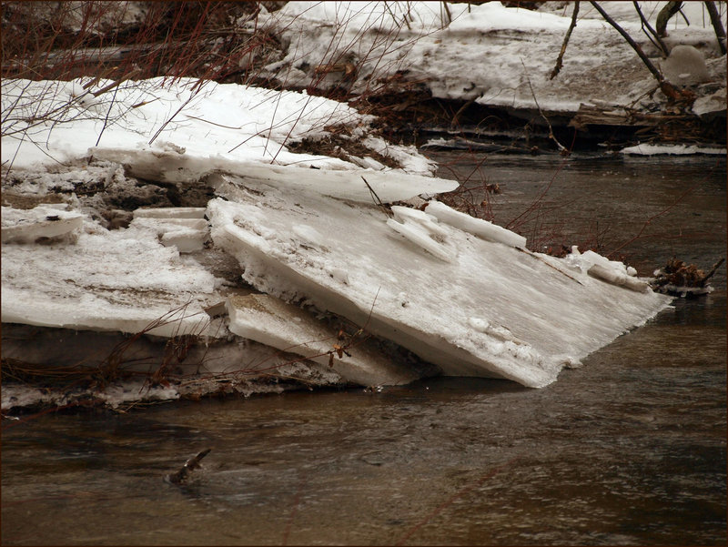 icebergs in the making