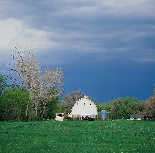 Barn at Pella Crossing