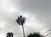 Eclipse, North Redondo Beach