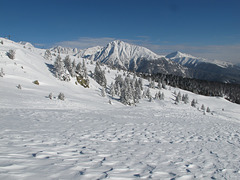 Skigebiet Vals-Jochtal, Hinterberg, Ochsenalm - 2012-01-18-IMG_1391