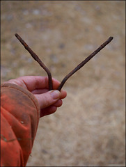 teeny tiny dowsing rods...