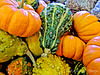 Asheville Farmers' Market Gourds