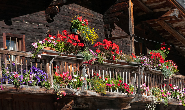 Pfelderertal, Lazins: Mit Blumen geschmückter Balkon des Gasthauses - 2010-10-15-_DSC4738