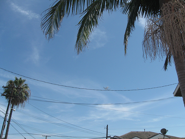 Endeavour flyover from MY HOUSE