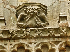 king's lynn, st. nicholas