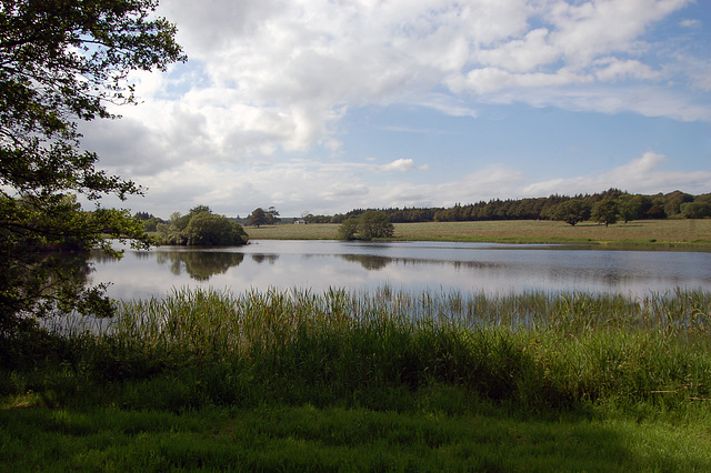 Aberdeenshire. Pitfour Estate (2)