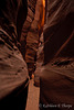 Escalante NP - Inside Zebra Slot Canyon - Explore 10/05/11 #117