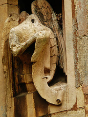 king's lynn, st. nicholas