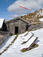 Mit Schnee bedeckte Liegen auf der Reseggeralm - 2010-10-18-_DSC5045