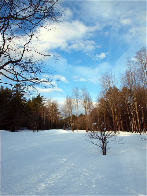 blue skies smilin' at me