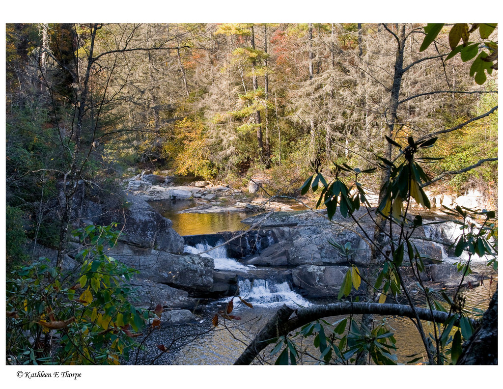 Water Fall Gold